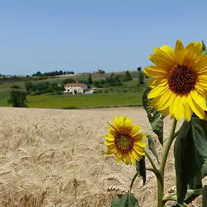 Des Camparros 3*, Nailloux France